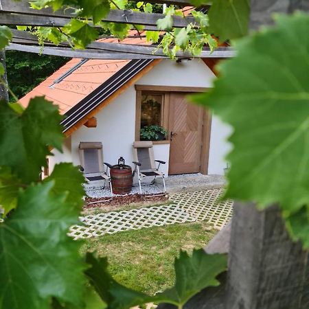 Zidanica Zagar Villa Dolenjske Toplice Eksteriør billede
