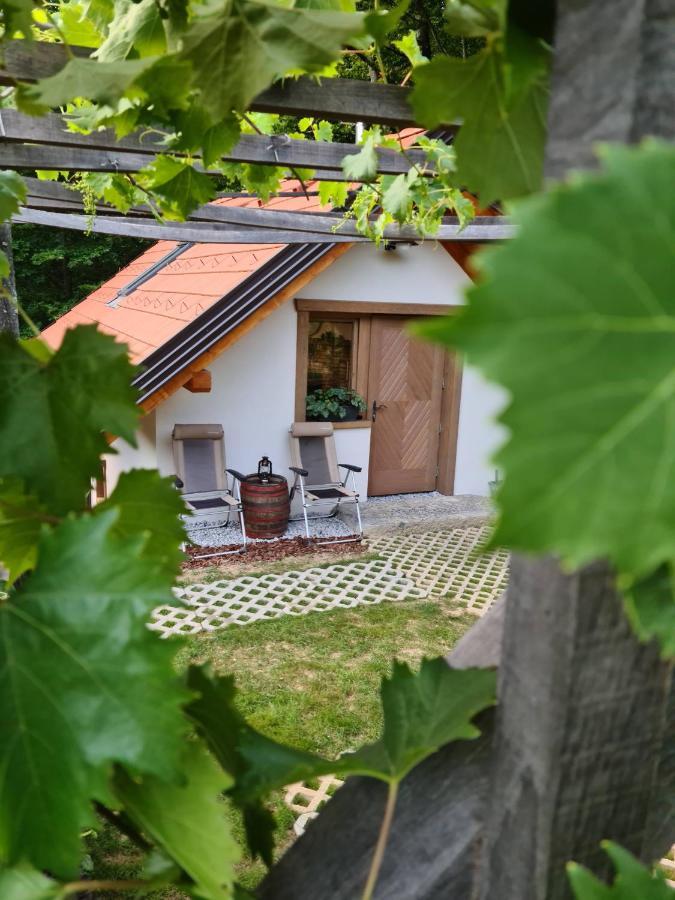 Zidanica Zagar Villa Dolenjske Toplice Eksteriør billede